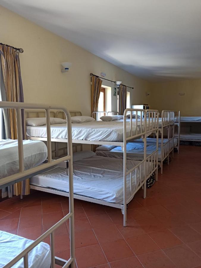 Albergue De Sos del Rey Católico المظهر الخارجي الصورة
