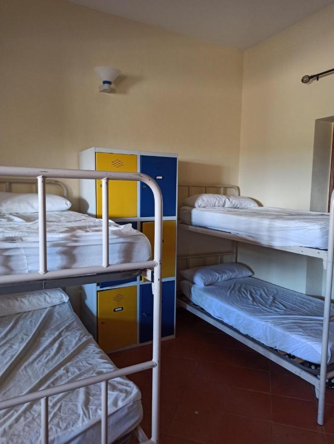 Albergue De Sos del Rey Católico المظهر الخارجي الصورة